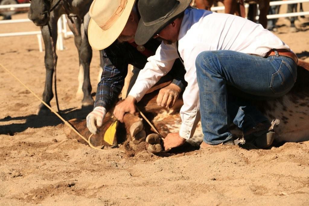 2017 Roping